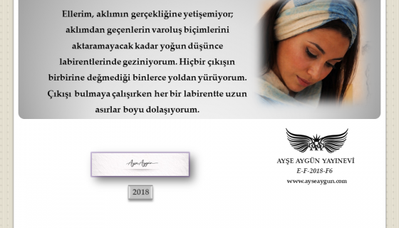 Düşünce Labirenti